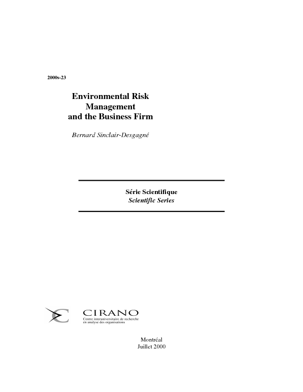 Environmental Risk Management and the Business Firm