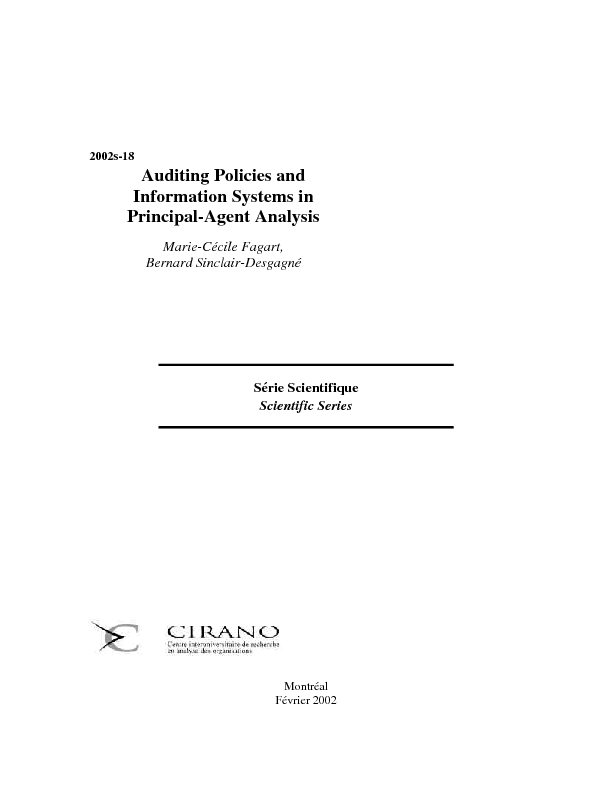 Auditing Policies and Information Systems in Principal-Agent Analysis