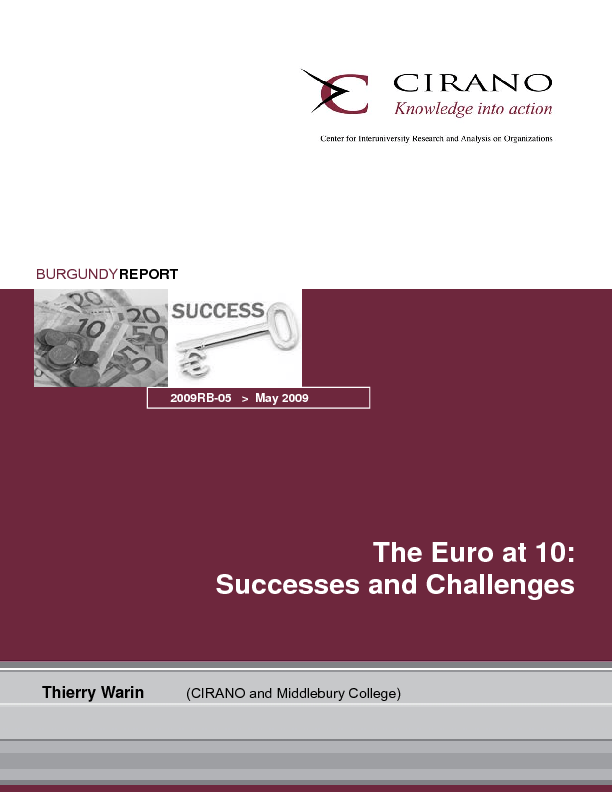 The Euro at 10: Successes and Challenges