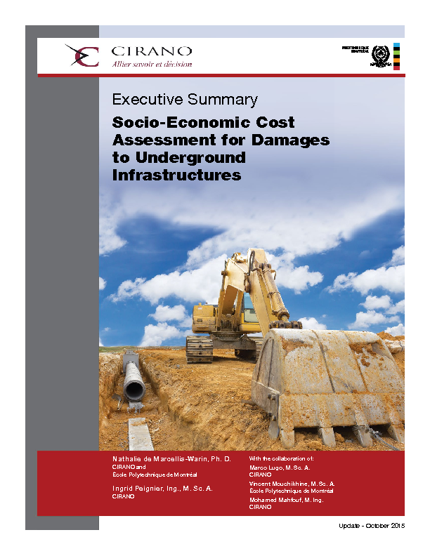Socio-Economic Cost Assessment for Damages to Underground Infrastructures - Executive Summary