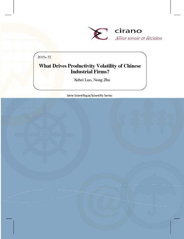 What Drives Productivity Volatility of Chinese Industrial Firms?