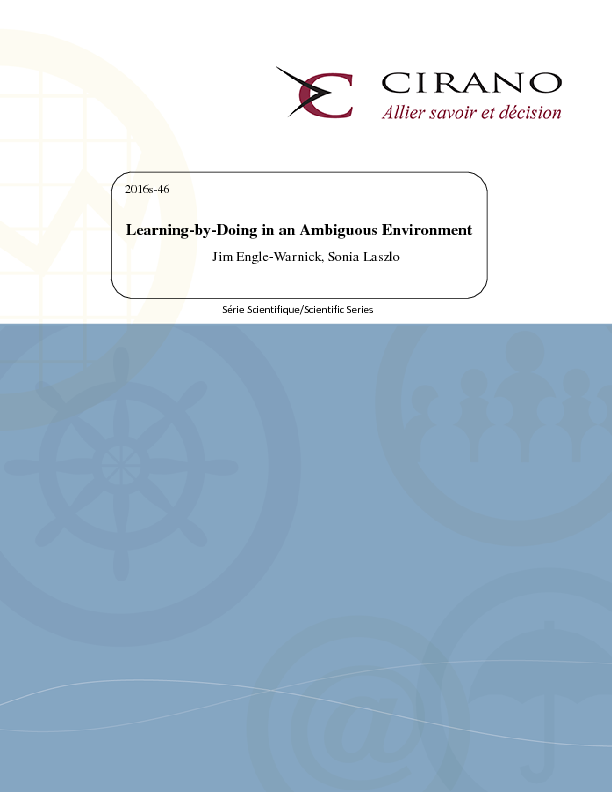 Learning-by-Doing in an Ambiguous Environment