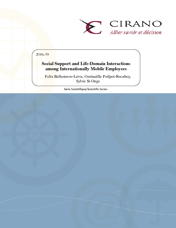 Social Support and Life-Domain Interactions among Internationally Mobile Employees