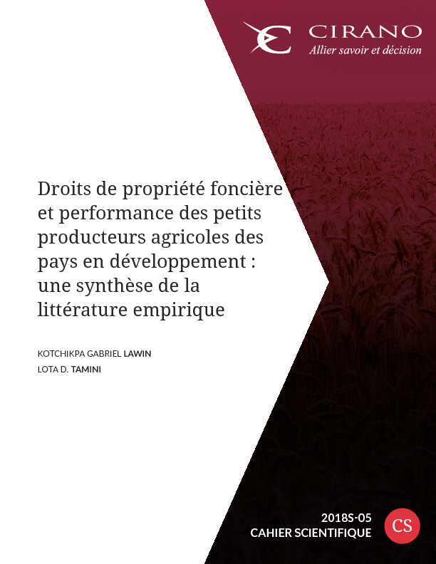 Droits de propriété foncière et performance des petits producteurs agricoles des pays en développement : une synthèse de la littérature empirique