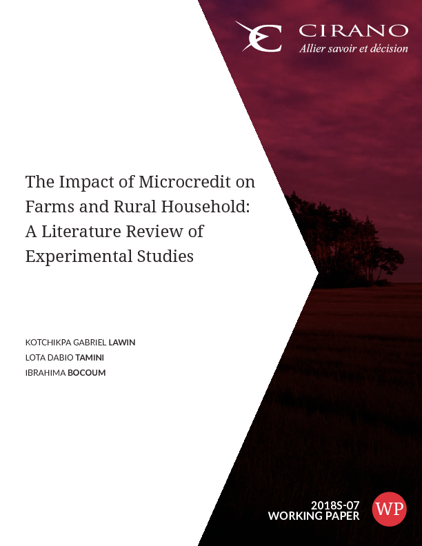 The Impact of Microcredit on Farms and Rural Household: A Literature Review of Experimental Studies