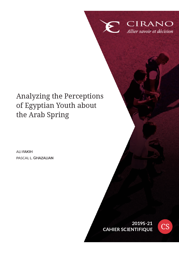 Analyzing the Perceptions of Egyptian Youth about the Arab Spring