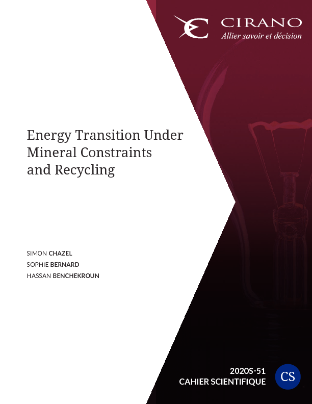 Energy Transition Under Mineral Constraints and Recycling