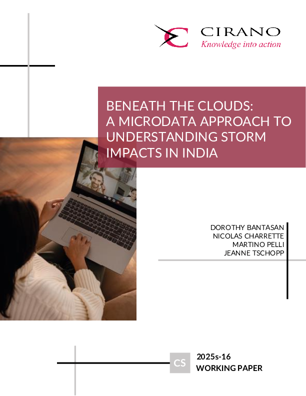Beneath the Clouds: A Microdata Approach to Understanding Storm Impacts in India