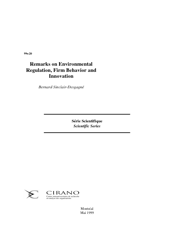 Remarks on Environmental Regulation, Firm Behavior and Innovation