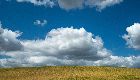 CIRANO-CIREQ Workshop on Environmental and Natural Resource Economics