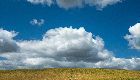 CIRANO-CIREQ Workshop on Environmental and Natural Resource Economics