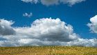 CIRANO-CIREQ Workshop on Environmental and Natural Resource Economics