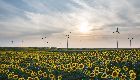 External activity: Accelerating the transition to a sustainable and innovative bio-food sector