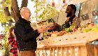 Webinar: Territorial brands in the biofood sector - A tool to encourage local purchasing