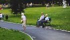 External Activity: Workshop on the Macroeconomic Dimensions of Aging