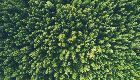 Workshop: International Environmental Agreements – Bridging the Gap