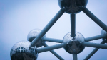 Workshop: The Contributions of Experimental Economics to the Analysis of Organizations and Public Policies