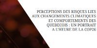 Publication of a CIRANO perspective