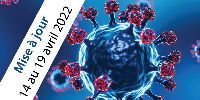 Study to assess the incidence of COVID-19 in Quebec - Updated with data from the week of April 14 to 19, 2022
