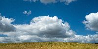 Data on environmental issues - 10 years of CIRANO Barometer data