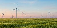 Accelerate the transition to a sustainable and innovative biofood sector