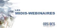 The video of the webinar 