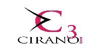 CIRANO's 30th anniversary Recognition Cocktail